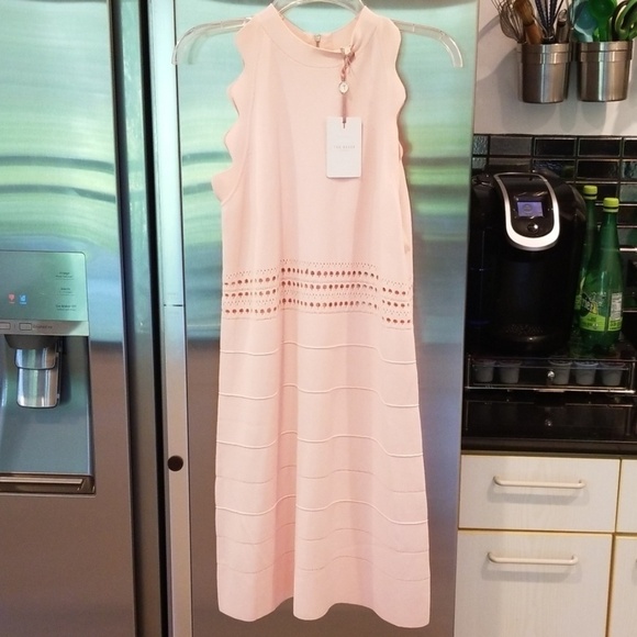 💕TED BAKER💕 Baby Pink Scallop Ribbed Knit Dress - Picture 7 of 8